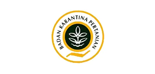 Logo 27